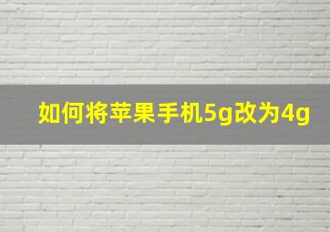 如何将苹果手机5g改为4g