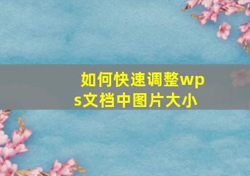 如何快速调整wps文档中图片大小