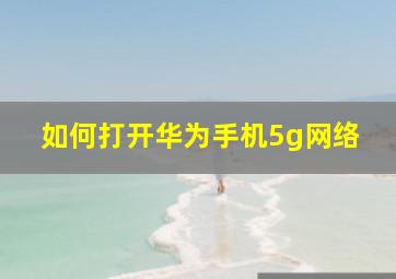 如何打开华为手机5g网络