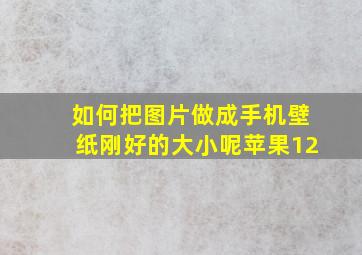 如何把图片做成手机壁纸刚好的大小呢苹果12