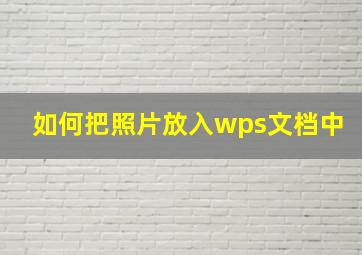 如何把照片放入wps文档中