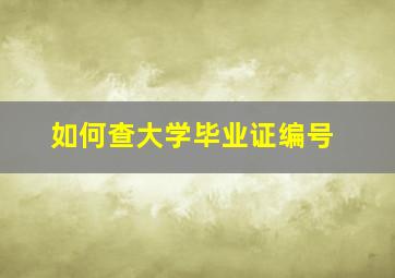 如何查大学毕业证编号