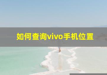 如何查询vivo手机位置