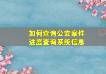 如何查询公安案件进度查询系统信息