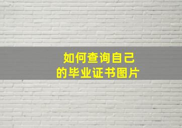 如何查询自己的毕业证书图片