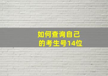 如何查询自己的考生号14位