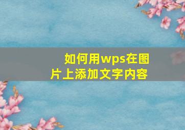 如何用wps在图片上添加文字内容