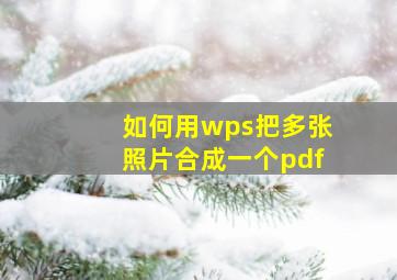 如何用wps把多张照片合成一个pdf