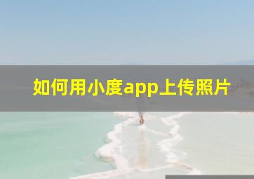 如何用小度app上传照片