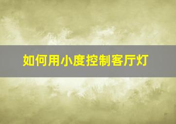 如何用小度控制客厅灯