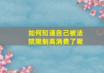 如何知道自己被法院限制高消费了呢