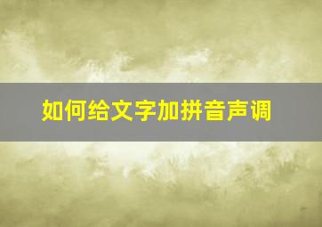 如何给文字加拼音声调