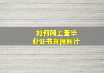 如何网上查毕业证书真假图片