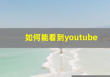 如何能看到youtube