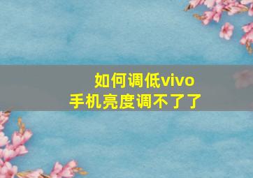 如何调低vivo手机亮度调不了了