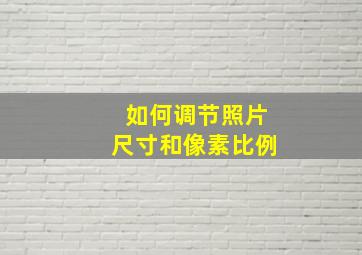 如何调节照片尺寸和像素比例