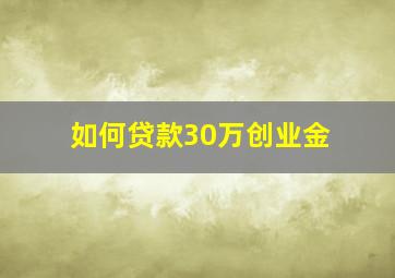 如何贷款30万创业金