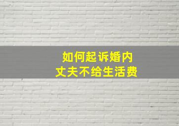 如何起诉婚内丈夫不给生活费