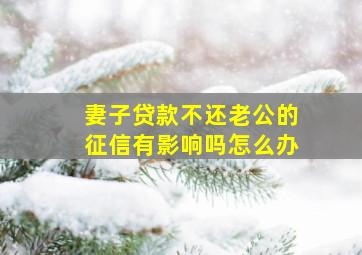 妻子贷款不还老公的征信有影响吗怎么办