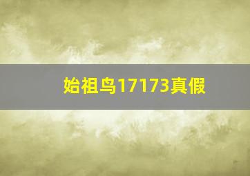 始祖鸟17173真假