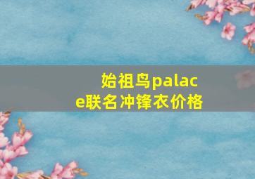 始祖鸟palace联名冲锋衣价格