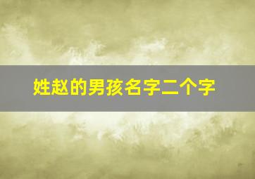 姓赵的男孩名字二个字