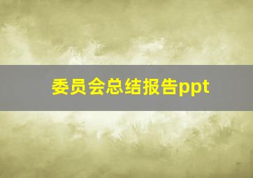 委员会总结报告ppt