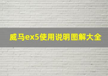 威马ex5使用说明图解大全