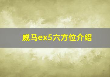 威马ex5六方位介绍