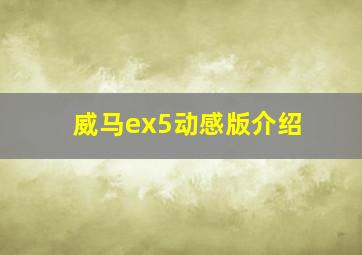 威马ex5动感版介绍