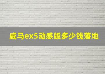 威马ex5动感版多少钱落地