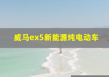 威马ex5新能源纯电动车