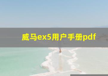 威马ex5用户手册pdf