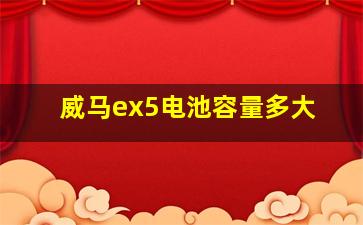 威马ex5电池容量多大