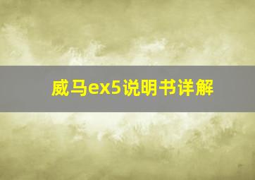 威马ex5说明书详解