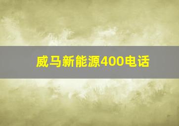 威马新能源400电话