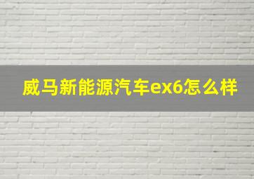 威马新能源汽车ex6怎么样