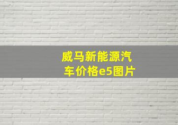 威马新能源汽车价格e5图片