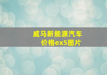 威马新能源汽车价格ex5图片