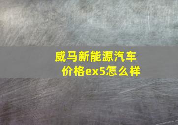 威马新能源汽车价格ex5怎么样