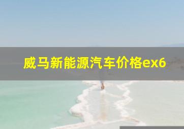 威马新能源汽车价格ex6