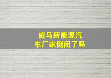 威马新能源汽车厂家倒闭了吗