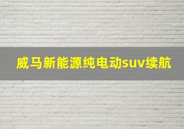 威马新能源纯电动suv续航