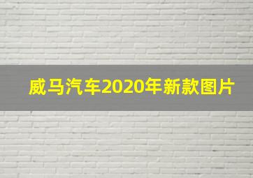 威马汽车2020年新款图片