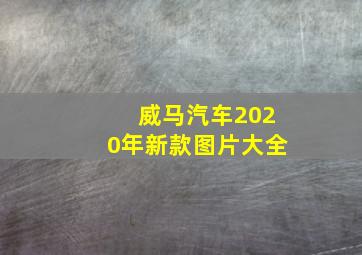 威马汽车2020年新款图片大全