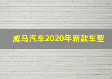 威马汽车2020年新款车型