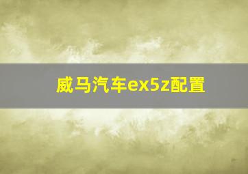 威马汽车ex5z配置