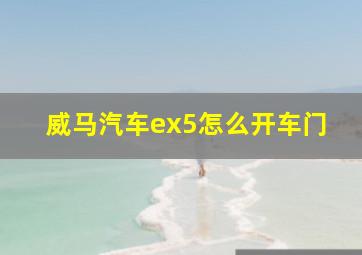 威马汽车ex5怎么开车门