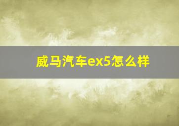 威马汽车ex5怎么样