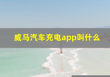 威马汽车充电app叫什么